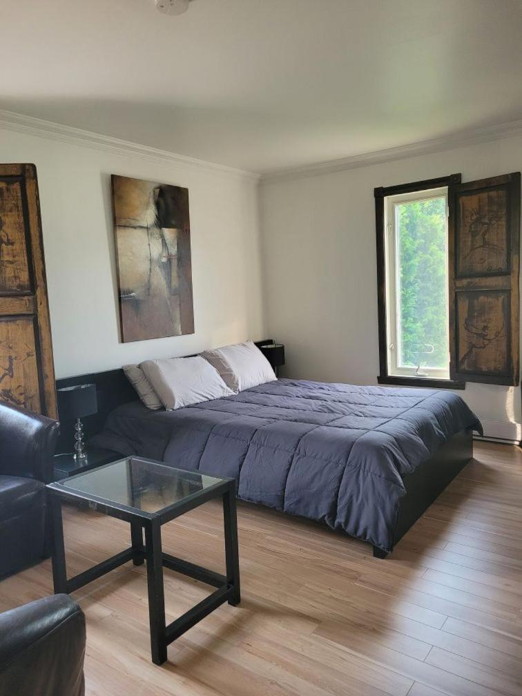 Le Petit Manoir Spa Et Vue Sur Riviere St Maurice Grandes Piles エクステリア 写真